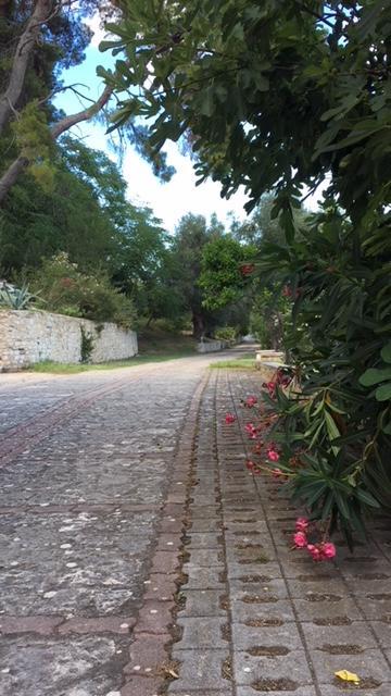 Tenuta Valle Della Corte Vieste Zewnętrze zdjęcie