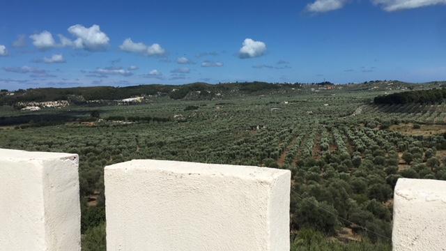 Tenuta Valle Della Corte Vieste Zewnętrze zdjęcie